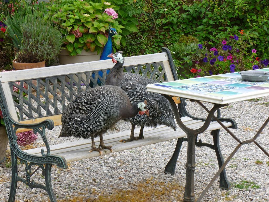 Manoir Francis Bed & Breakfast Marles-sur-Canche ภายนอก รูปภาพ